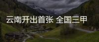 快排公司十年历程，霸屏兔 seo 的崛起与坚守