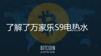 快排公司十年历程，霸屏兔 seo 的崛起与坚守