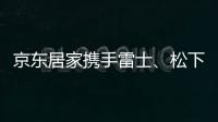 京东居家携手雷士	�、松下等百余商家开启灯饰超级品类日播报文章