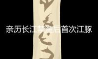 亲历长江禁渔后首次江豚科考	，在干旱的鄱阳湖寻找江豚