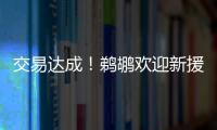 交易达成！鹈鹕欢迎新援萨迪克
