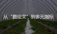 快排公司十年历程，霸屏兔 seo 的崛起与坚守