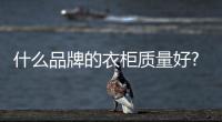 快排公司十年历程，霸屏兔 seo 的崛起与坚守