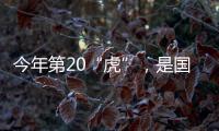 今年第20“虎”，是国家林草局组建以来落马首“虎”