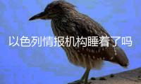 以色列情报机构睡着了吗	
？
