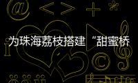 为珠海荔枝搭建“甜蜜桥梁”！九洲港也能买到新鲜采摘的荔枝啦