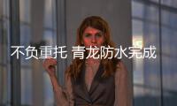 快排公司十年历程，霸屏兔 seo 的崛起与坚守