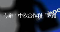 专家：中欧合作利“双循环”运转
