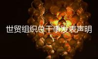 世贸组织总干事发表声明：欢迎中美经贸高层会谈取得积极成果
