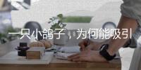 一只小鸽子�，为何能吸引14家知名媒体集中探访？
