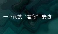 快排公司十年历程，霸屏兔 seo 的崛起与坚守