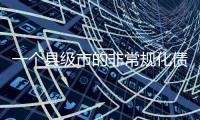 一个县级市的非常规化债
：居间者二审刑期减至两年半