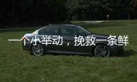 一个小举动，挽救一条鲜活生命	
！珠海504名快递员化身"城市哨兵"