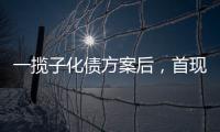 一揽子化债方案后
�，首现城投“统借统还”案例