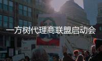 一方树代理商联盟启动会：展示健康艺术板材，引领家居市场新潮流