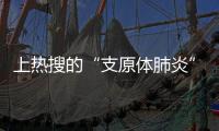 上热搜的“支原体肺炎”�，究竟是啥？