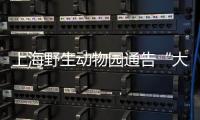 上海野生动物园通告“大象斗殴”：对相关象已采取保护性举措