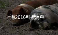 快排公司十年历程，霸屏兔 seo 的崛起与坚守