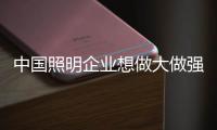 快排公司十年历程，霸屏兔 seo 的崛起与坚守