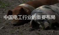 中国电工行业的重要布局
：人才布局和渠道开拓