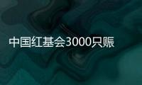 中国红基会3000只赈济家庭箱驰援云南
、青海地震灾区