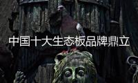 快排公司十年历程，霸屏兔 seo 的崛起与坚守