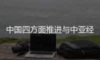 快排公司十年历程，霸屏兔 seo 的崛起与坚守
