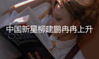快排公司十年历程，霸屏兔 seo 的崛起与坚守