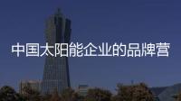 快排公司十年历程，霸屏兔 seo 的崛起与坚守