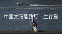 中国太阳能路灯	：生存靠个人 发展靠团队