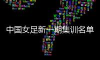 中国女足新一期集训名单：王霜吴海燕领衔