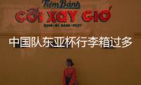 快排公司十年历程，霸屏兔 seo 的崛起与坚守