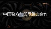 快排公司十年历程，霸屏兔 seo 的崛起与坚守
