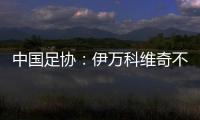 中国足协
：伊万科维奇不再担任中国国家男子足球队主教练