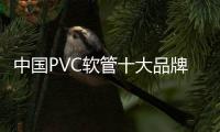 快排公司十年历程，霸屏兔 seo 的崛起与坚守