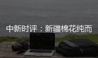 中新时评
：新疆棉花纯而白
，天下何人在抹黑？