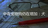 中毒宠物狗仍在增加
：犬主标注防毒地图
�，警方介入调查