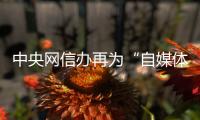 中央网信办再为“自媒体”划红线 新规有何亮点？专家解读来了