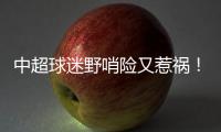 中超球迷野哨险又惹祸
！球员都懵了 金哨无奈了