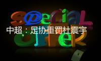 中超
：足协重罚杜震宇 停赛达7场罚款35000元