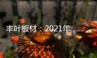丰叶板材：2021年�，我们想要这样!