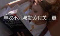 丰收不只与勤劳有关，更与市场和风险相连丨记者手记