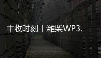 丰收时刻丨潍柴WP3.6N勇当先，油菜丰收捷报传
