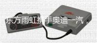东方雨虹携手奥迪一汽，共探绿色未来