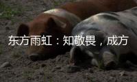 东方雨虹：知敬畏，成方圆