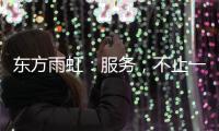 东方雨虹：服务，不止一面