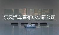 东风汽车宣布成立新公司，卓驭科技称Tier1需具备兜底能力