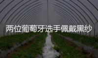 快排公司十年历程，霸屏兔 seo 的崛起与坚守