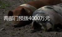 两部门预拨4000万元中央自然灾害救灾资金，支持琼粤桂防汛防台风