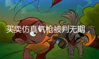 买卖仿真气枪被判无期
，一位妻子的十三年诉讼路